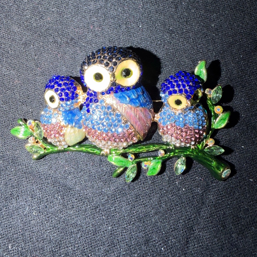 Colorful Owl Bird Brooch